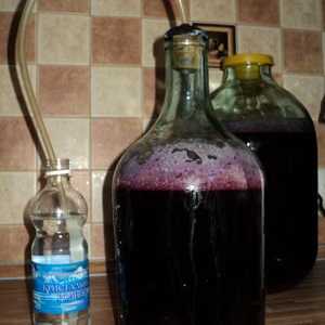 Modalități de fabricare a vinului din compot fermentat