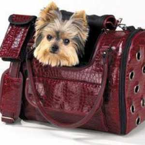Geantă de transport pentru câini - tipuri și criterii de selecție