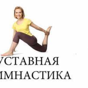 Exerciții comune de Norbekov, vizionați videoclipuri cu exerciții