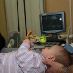 Creier ultrasunete la nou-născuți