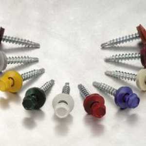Tipuri de șuruburi și elemente de fixare pentru metal cu burghiu