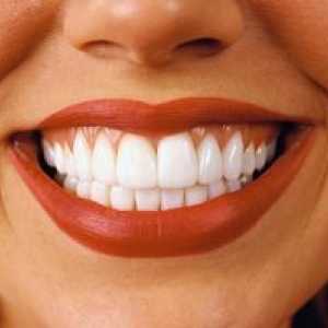 Fila în caracteristicile și caracteristicile dintelui