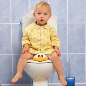 Alegerea unui scaun pentru toaletă pentru un copil