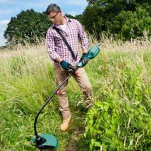 Alegerea unui trimmer pentru iarbă: care este benzina sau electrica